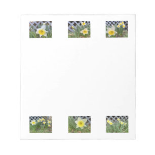 Bloco De Notas Narcisos