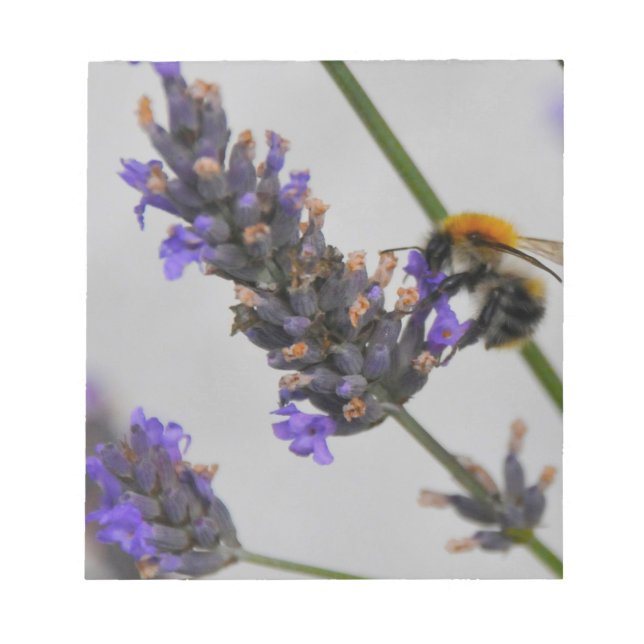 Bloco De Notas Natures WonMaravilha Workers (Frente)