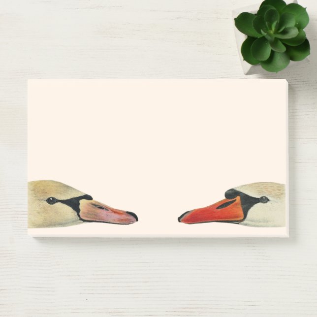 Bloco De Notas Natureza As muitas faces de um cisne (Escritótio)