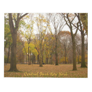 Bloco De Notas New York Souvenir Notepad Central Park NYC Gift