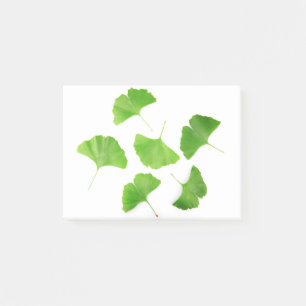 Bloco De Notas Nogueira-do-Japão verde Biloba