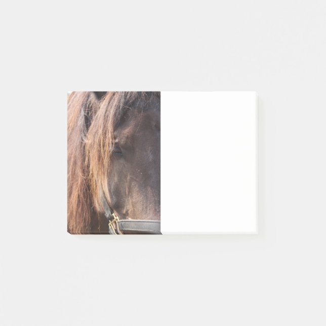 Bloco De Notas Nota de post-it do cavalo (Frente)