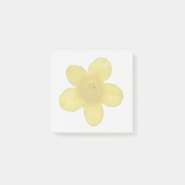 Bloco De Notas Notas Adhesivas de Jasmim Amarelo (Frente)
