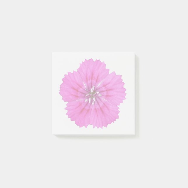 Bloco De Notas Notas Adhesivas Dianthus Rosa (Frente)
