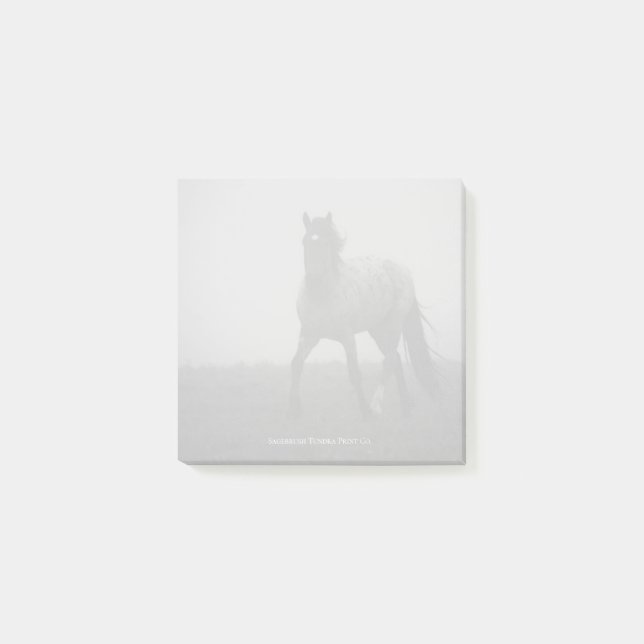 Bloco De Notas Notas Blue Roan Mist - 3" x 3" (Frente)