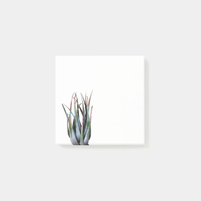 Bloco De Notas Notas da Imagem Fotográfica da ALoe Plant (Frente)