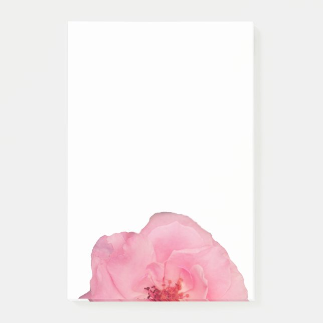 Bloco De Notas Notas de Foto Rosa Rosa Rosa Rosa Rosa Rosa Rosa R (Frente)