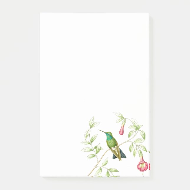 Bloco De Notas Notas de post-it dos colibris de Goulds (Frente)