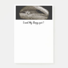 Bloco De Notas "Notas de post-it dos pontos sonolentos", 4 x 6