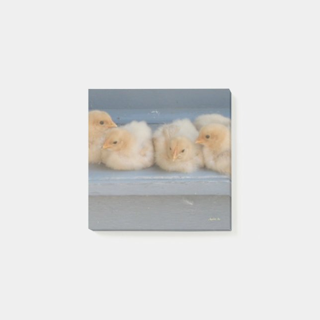 Bloco De Notas Notas de posto (Frente)