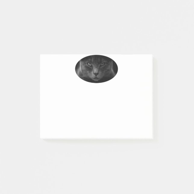 Bloco De Notas Notas de Posto Cat (Frente)