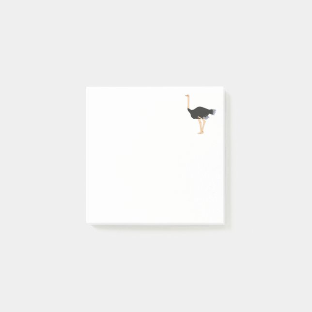 Bloco De Notas Notas de Posto de Ostrich (Frente)