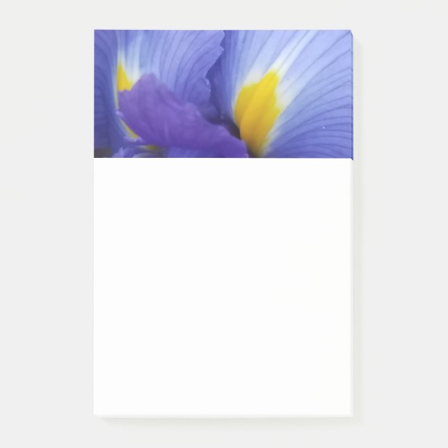 Bloco De Notas Notas de Posto do Flor Iris Azul 4x6 (Frente)