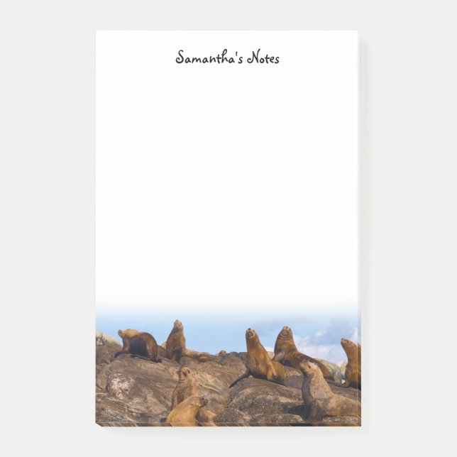 Bloco De Notas Notas de Posto do Sea Lions (Frente)