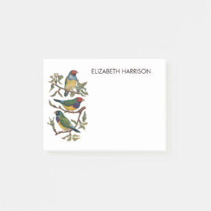 Bloco De Notas Notas de Posto para ilustração colorida de aves 