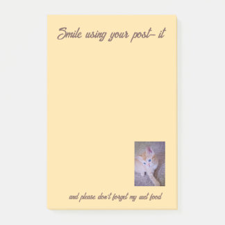 Bloco De Notas Notas de texto de humor de foto de gato