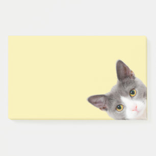 Bloco De Notas Notas de TI Postada de Gatos Adoráveis, grandes.