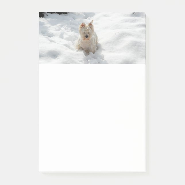 Bloco De Notas Notas de Westie Branco no Neve (Frente)