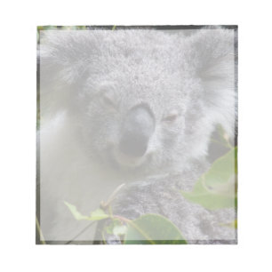 Bloco De Notas notas do koala