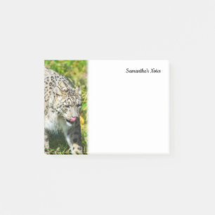 Bloco De Notas Notas do Leopardo da Neve