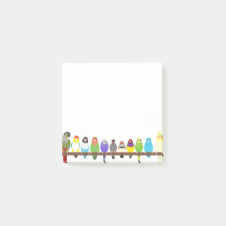 Bloco De Notas Notas do Parrot Sticky