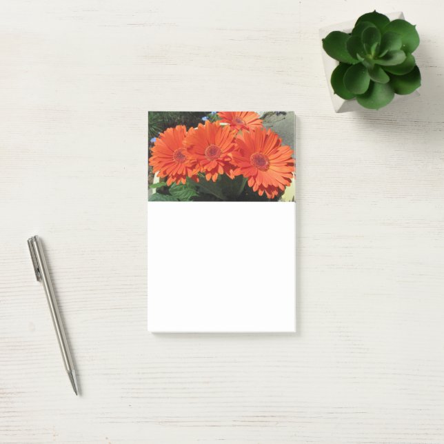 Bloco De Notas Notas do Posto de Foto da Orange Daisy Flower (Escritótio)