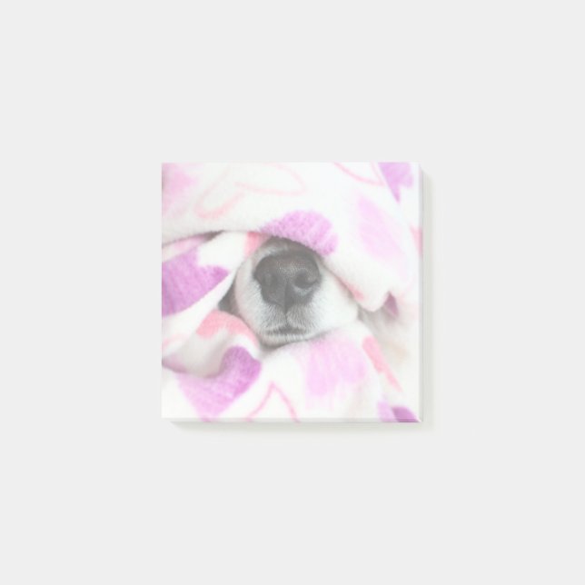 Bloco De Notas Notas Do Posto Do Nariz Do Cão (Frente)