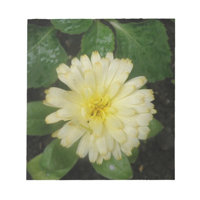 Bloco De Notas Notepad Amarelo (Frente)