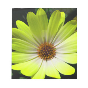 Bloco De Notas Notepad Amarelo Fluorescente de Daisy Flower