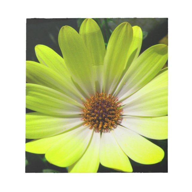 Bloco De Notas Notepad Amarelo Fluorescente de Daisy Flower (Frente)