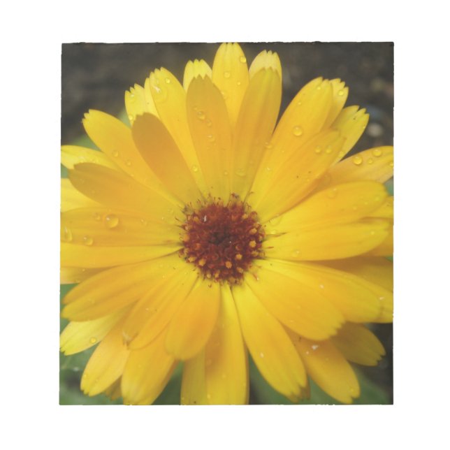 Bloco De Notas Notepad Amarelo Marigold Macro (Frente)