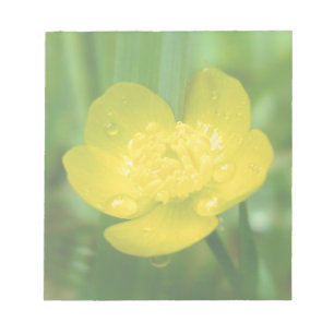 Bloco De Notas Notepad Appalachian