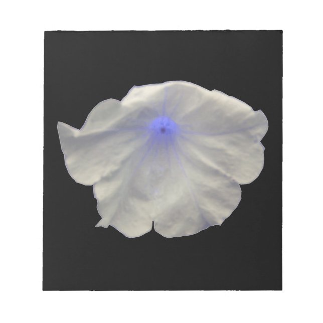 Bloco De Notas Notepad Azul Petunia (Frente)