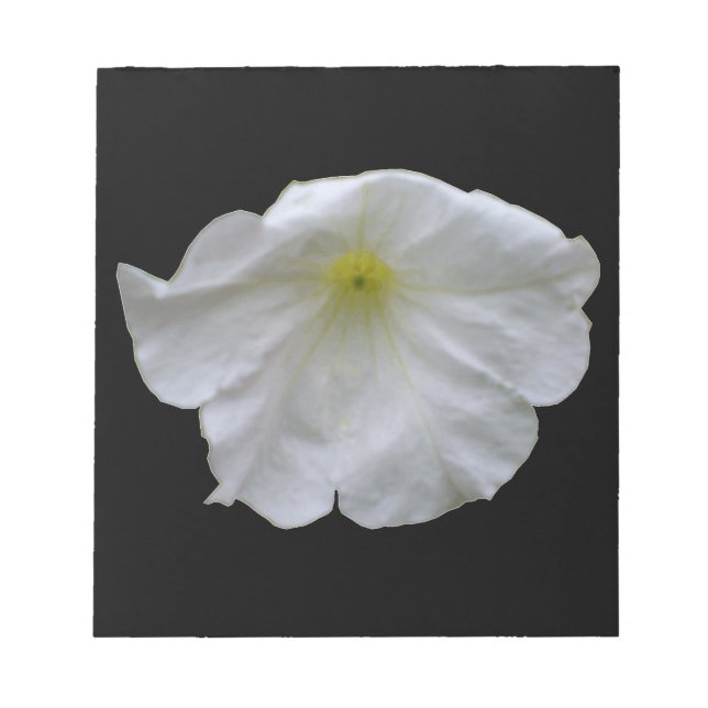 Bloco De Notas Notepad branco bonito (Frente)