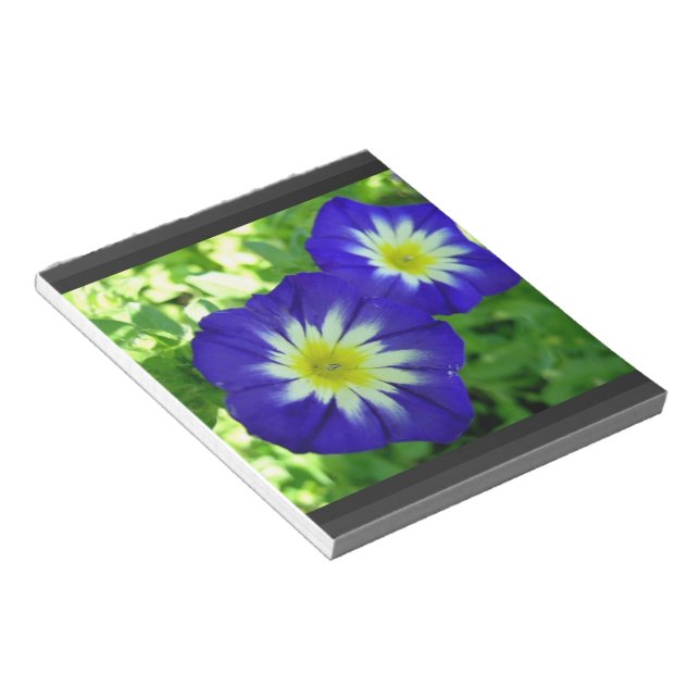 Bloco De Notas Notepad da Glória da Manhã (Inclinado)