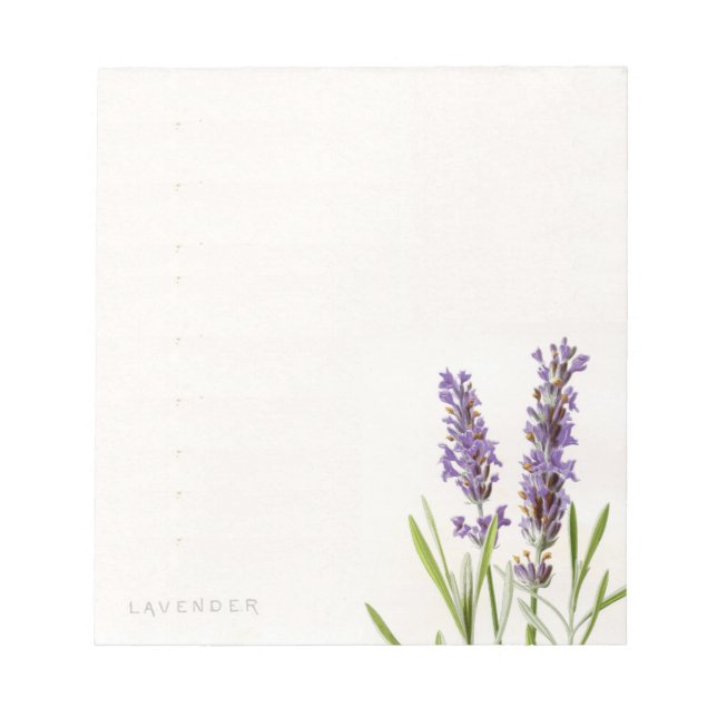 Bloco De Notas Notepad da Lavanda francesa Vintage (Frente)
