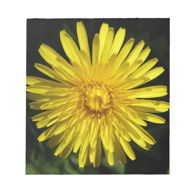 Bloco De Notas Notepad Dandelion (Frente)