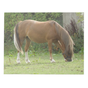 Bloco De Notas Notepad De Aluguer De Cavalo Castanho