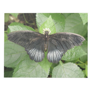 Bloco De Notas Notepad de Borboleta Tropical bonito e Flores