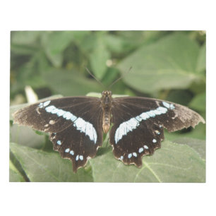 Bloco De Notas Notepad de borboleta tropical preto e branco