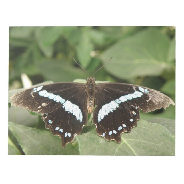 Bloco De Notas Notepad de borboleta tropical preto e branco (Frente)
