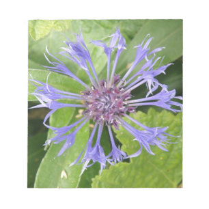 Bloco De Notas Notepad de Cornflower Azul