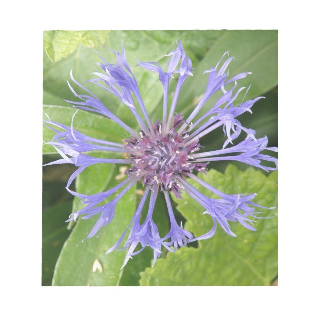 Bloco De Notas Notepad de Cornflower Azul (Frente)