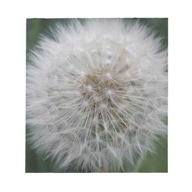 Bloco De Notas Notepad de Flor de Dandelion Sorrendo (Frente)