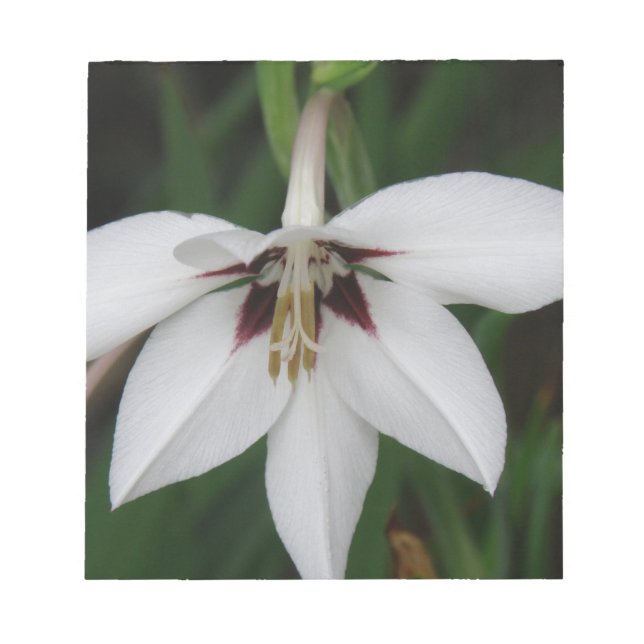 Bloco De Notas Notepad de Flores de Orquídea (Frente)