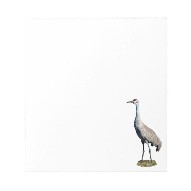 Bloco De Notas Notepad de Foto Sandhill Crane (Frente)