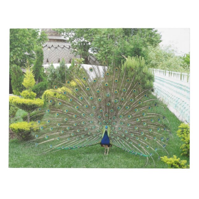 Bloco De Notas Notepad de Fotografia Peacock (Frente)