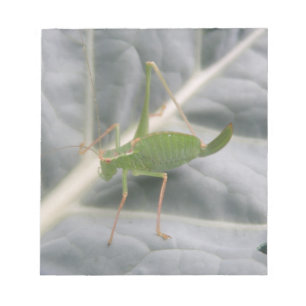 Bloco De Notas Notepad de Macro de Cricket Verde