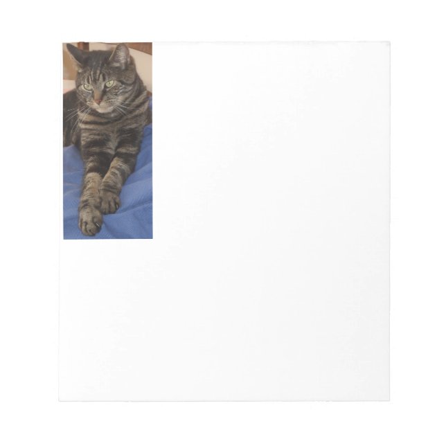 Bloco De Notas Notepad de Página Regal Dave 40 (Frente)