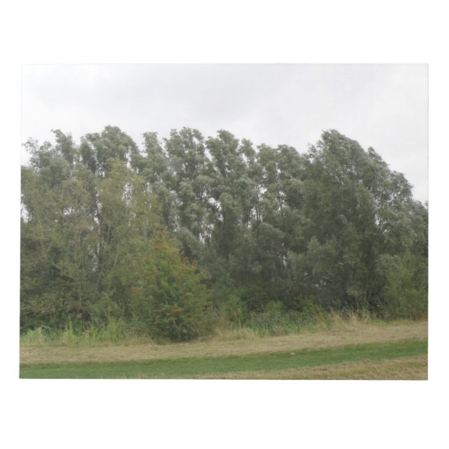 Bloco De Notas Notepad de Paisagem de Árvores de Manguarda (Frente)